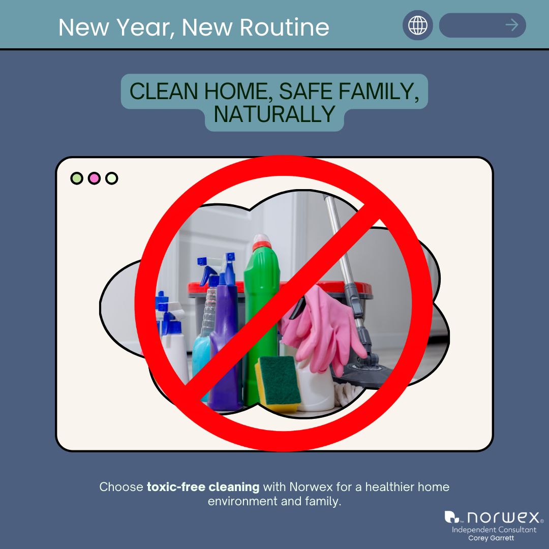 Making the Switch to a Toxic Free Cleaning Routine for the New Year